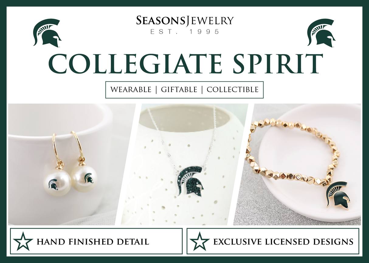 Michigan State POP Header
