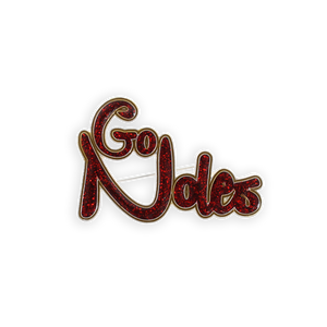 Florida State Slogan Pin