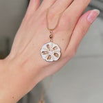Sand Dollar Earrings