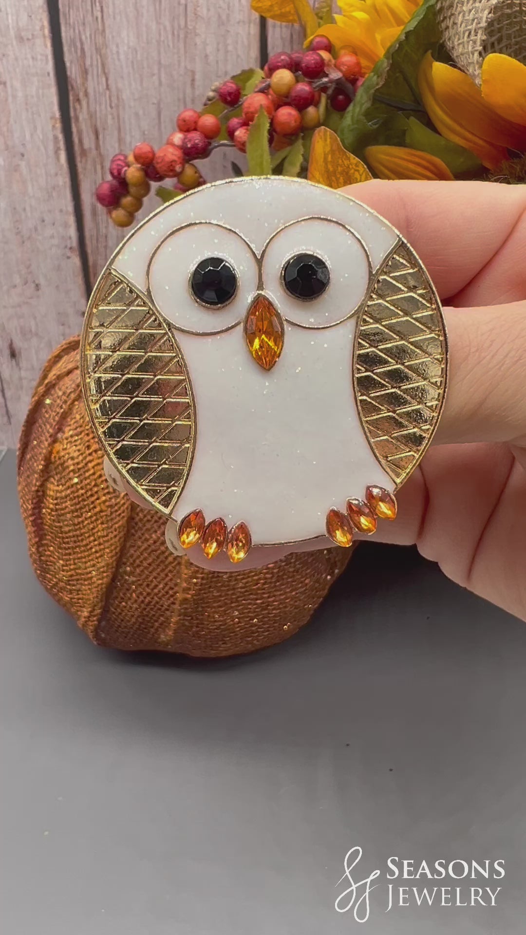 Gold Round Owl Pin/Pendant